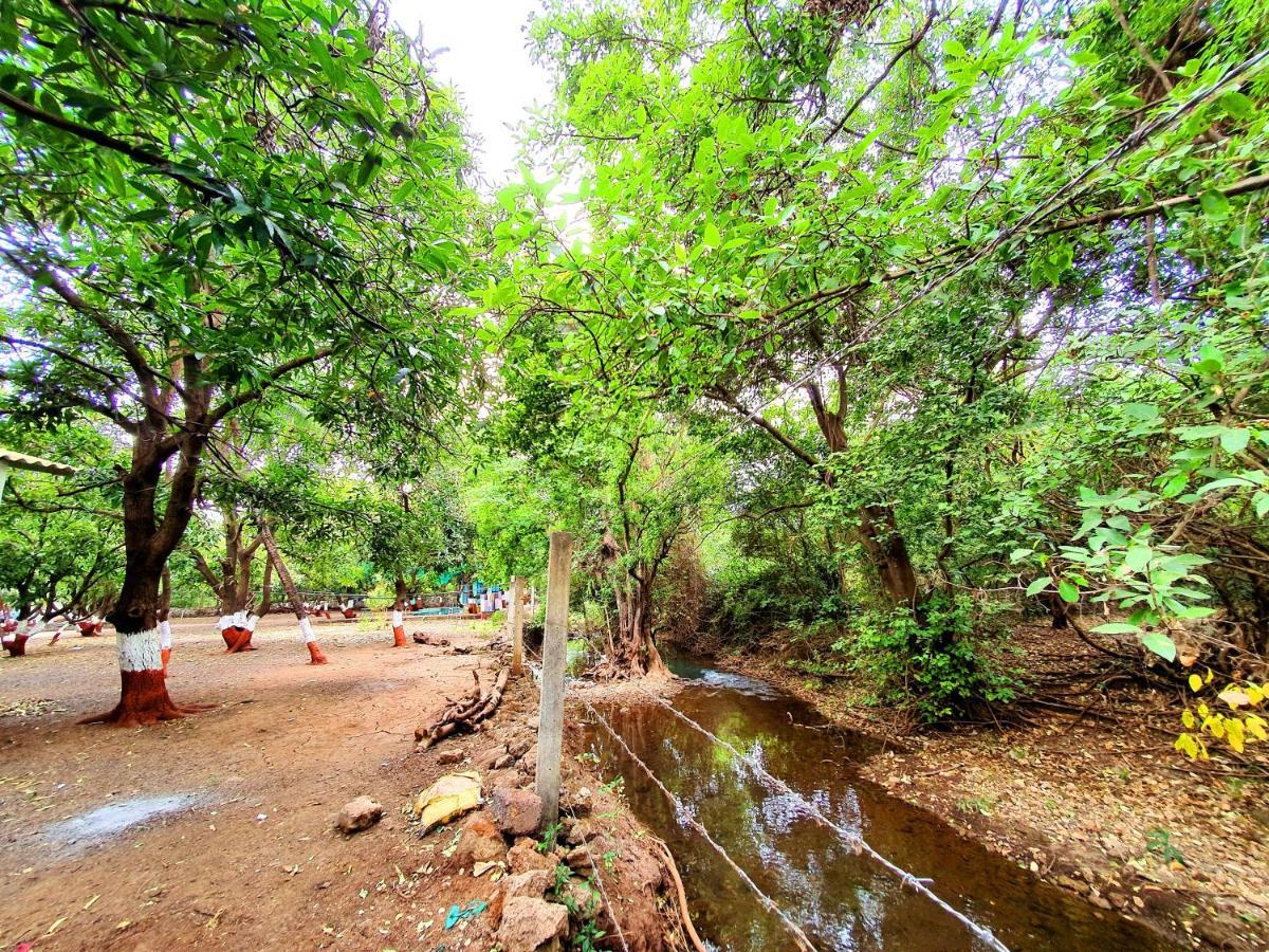 The Wilds Villa Gir Jungle Stay With Swimming Pool Sasan Gir Exterior photo